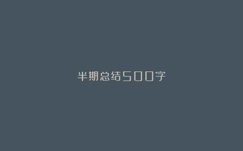 半期总结500字