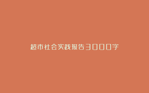 超市社会实践报告3000字