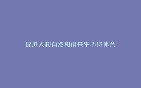 促进人和自然和谐共生心得体会