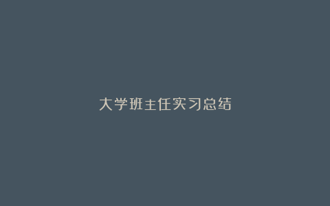 大学班主任实习总结