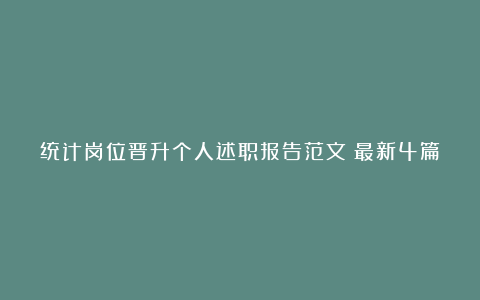 统计岗位晋升个人述职报告范文（最新4篇）