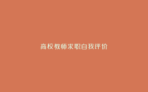 高校教师求职自我评价