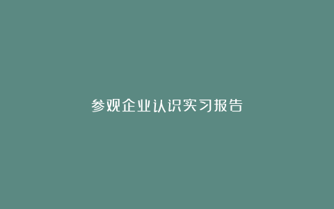 参观企业认识实习报告