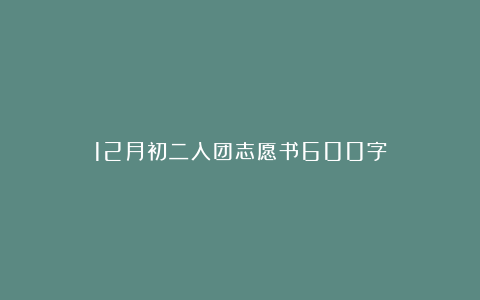 12月初二入团志愿书600字