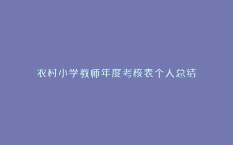 农村小学教师年度考核表个人总结