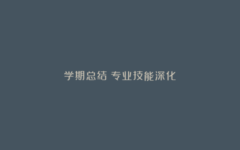 学期总结：专业技能深化