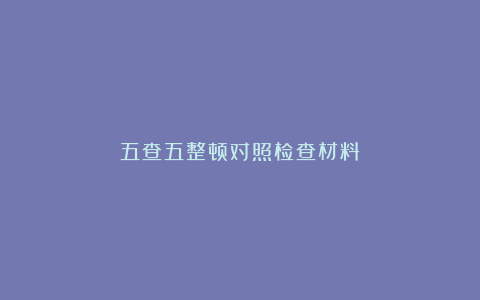 五查五整顿对照检查材料