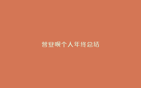 营业员个人年终总结