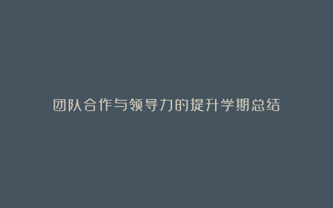 团队合作与领导力的提升学期总结