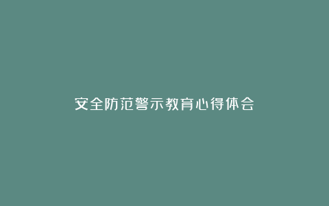 安全防范警示教育心得体会