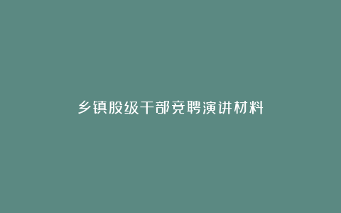 乡镇股级干部竞聘演讲材料