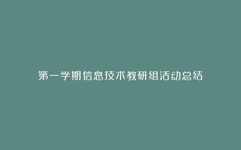 第一学期信息技术教研组活动总结