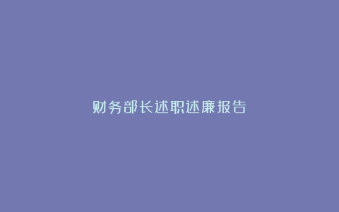 财务部长述职述廉报告