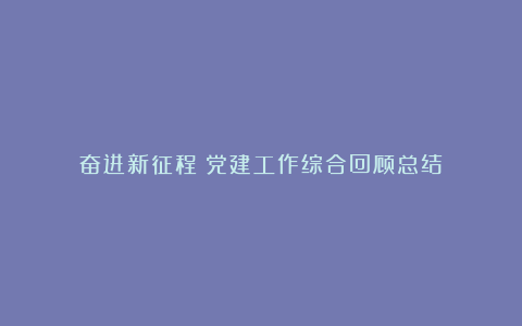 奋进新征程：党建工作综合回顾总结