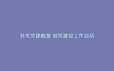 夯实党建根基：组织建设工作总结