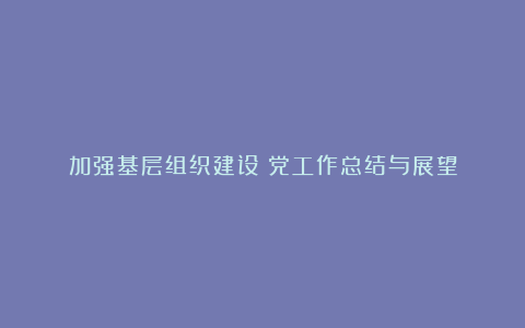 加强基层组织建设：党工作总结与展望