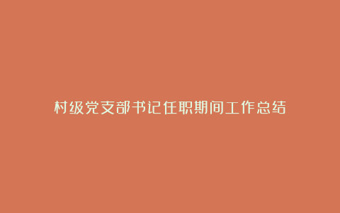 村级党支部书记任职期间工作总结