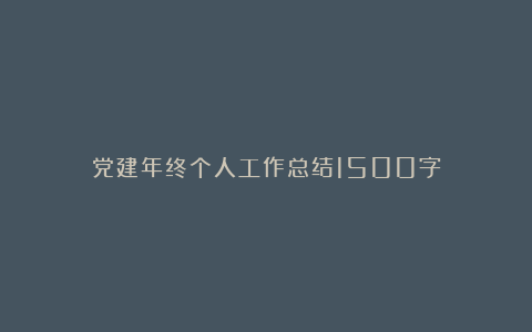 党建年终个人工作总结1500字