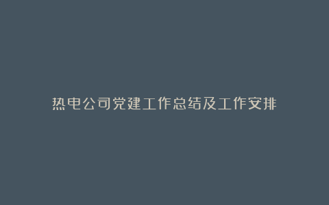 热电公司党建工作总结及工作安排