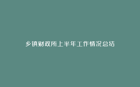 乡镇财政所上半年工作情况总结