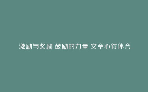 《激励与奖励：鼓励的力量》文章心得体会