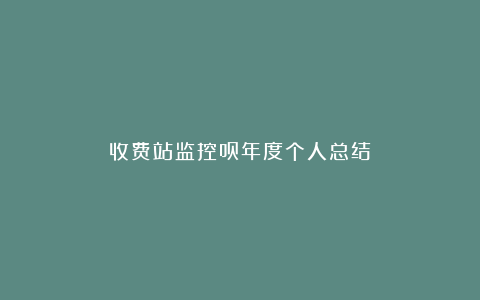 收费站监控员年度个人总结