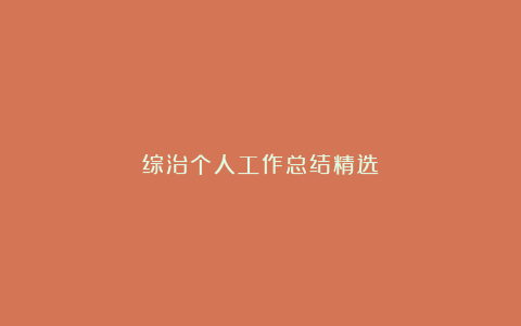 综治个人工作总结精选