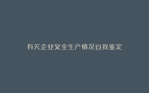 有关企业安全生产情况自我鉴定