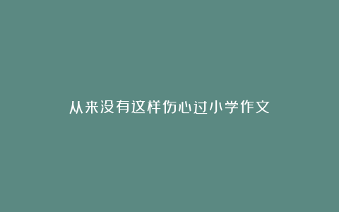 从来没有这样伤心过小学作文