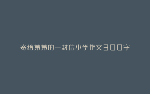 寄给弟弟的一封信小学作文300字