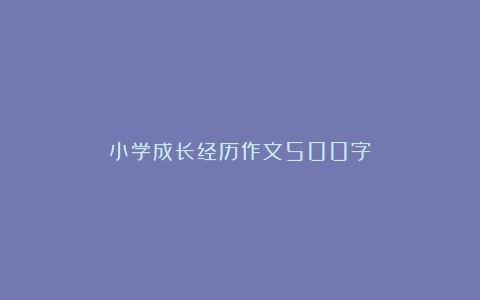 小学成长经历作文500字