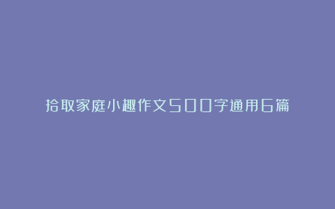 拾取家庭小趣作文500字通用6篇