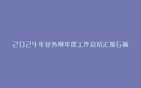 2024年业务员年度工作总结汇报6篇