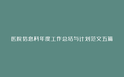 医院信息科年度工作总结与计划范文五篇