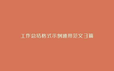 工作总结格式示例通用范文3篇