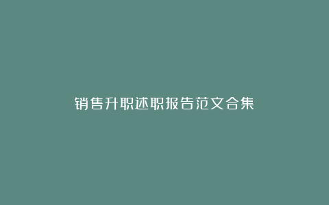 销售升职述职报告范文合集