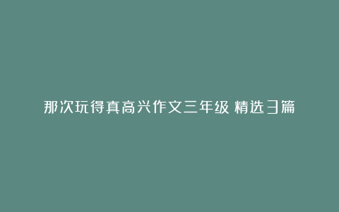 那次玩得真高兴作文三年级（精选3篇）