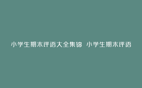 小学生期末评语大全集锦 小学生期末评语简短精辟