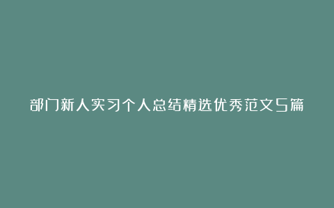 部门新人实习个人总结精选优秀范文5篇