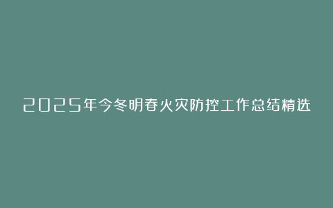 2025年今冬明春火灾防控工作总结精选6篇