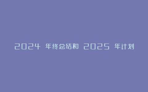 2024 年终总结和 2025 年计划精选范文