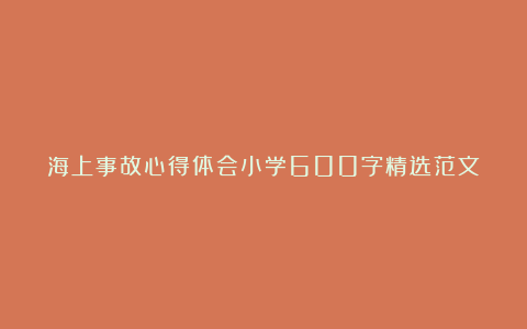 海上事故心得体会小学600字精选范文