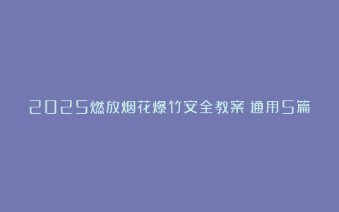 2025燃放烟花爆竹安全教案（通用5篇）