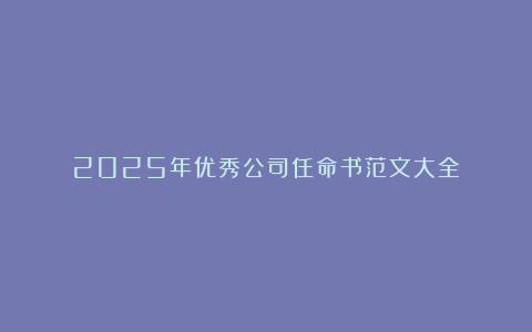 2025年优秀公司任命书范文大全