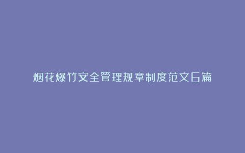 烟花爆竹安全管理规章制度范文6篇