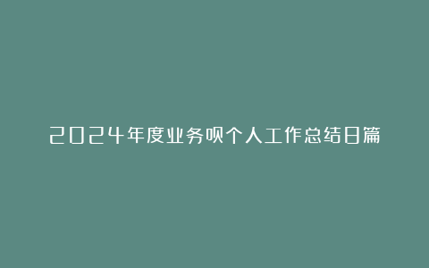 2024年度业务员个人工作总结8篇