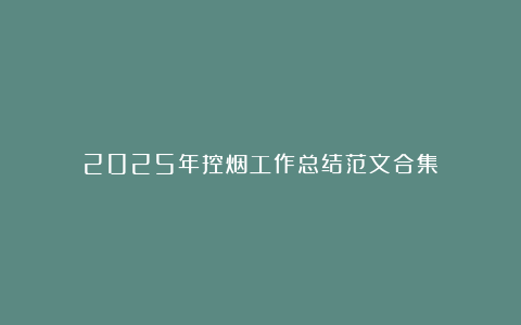 2025年控烟工作总结范文合集