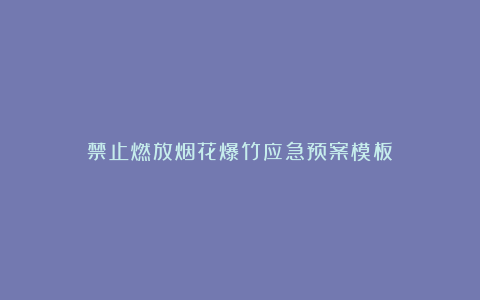 禁止燃放烟花爆竹应急预案模板