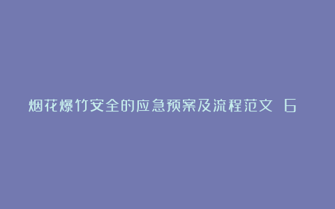 烟花爆竹安全的应急预案及流程范文 6 篇