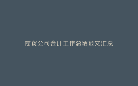 商贸公司会计工作总结范文汇总